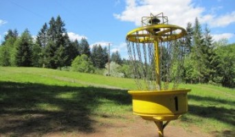 Disc Golf