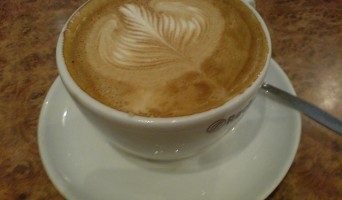 Coffee & Bars Near Golden Gate Park
