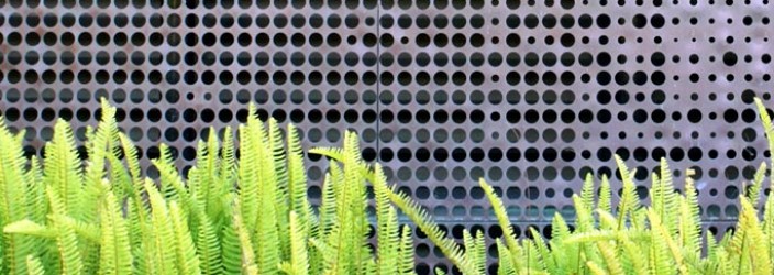 de Young Museum