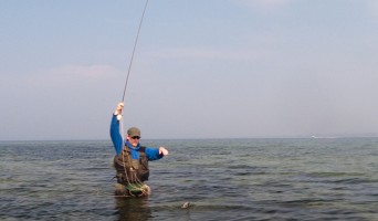 Golden Gate Angling & Casting Club