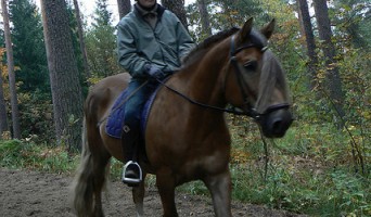 Horse Riding