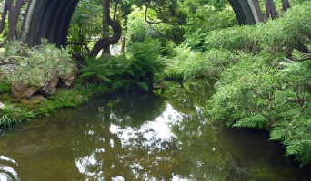 Japanese Tea Garden in Golden Gate Park