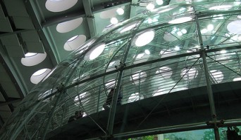 California Academy of Sciences