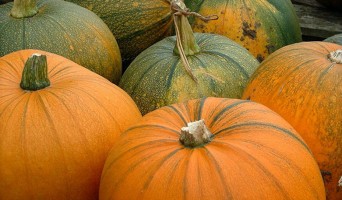 October Events in Golden Gate Park