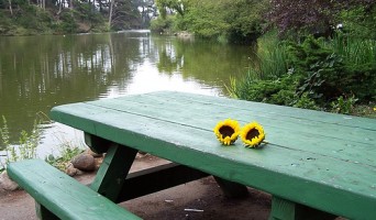 Golden Gate Park Picnic Areas Map