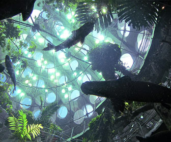 california academy of science