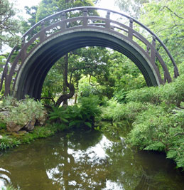 japanese bridge