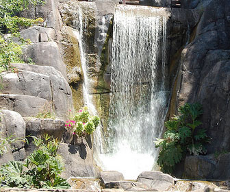 Strawberry Hill in Golden Gate Park Strawberry Hill in Golden Gate Park