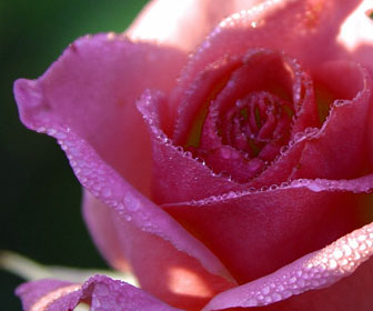 july 2012 events in golden gate park