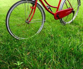 Golden Gate Park Bike Rentals